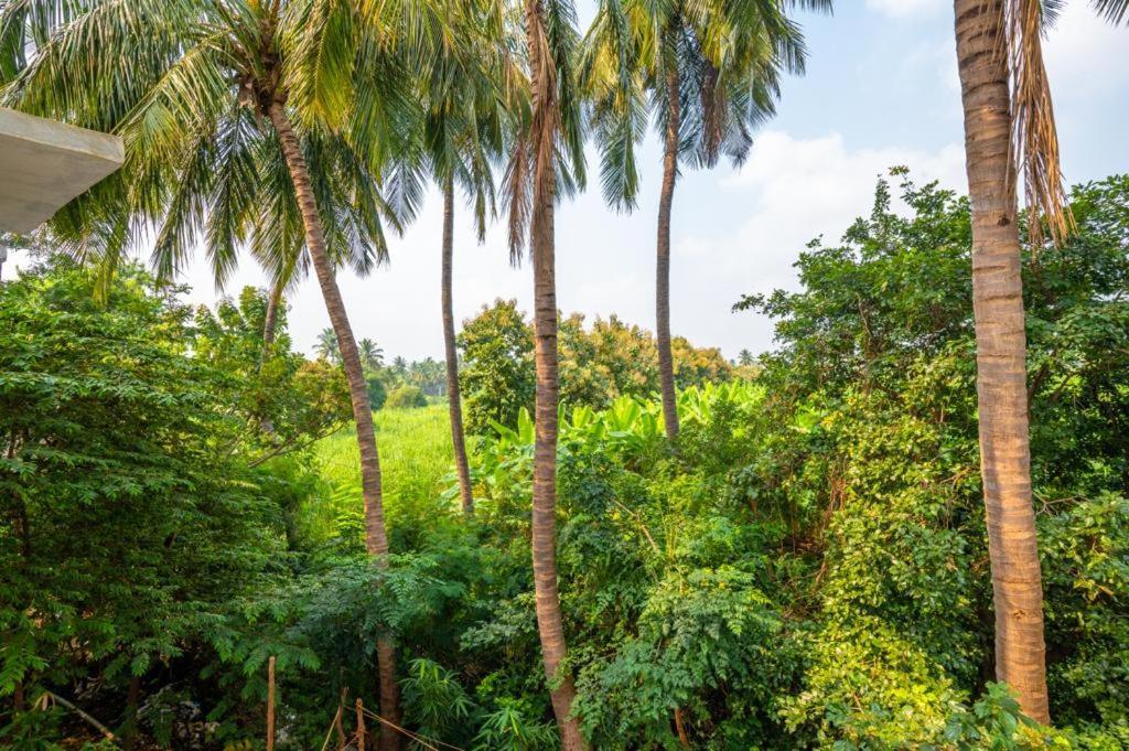 Saptami Hampi Homestay Esterno foto